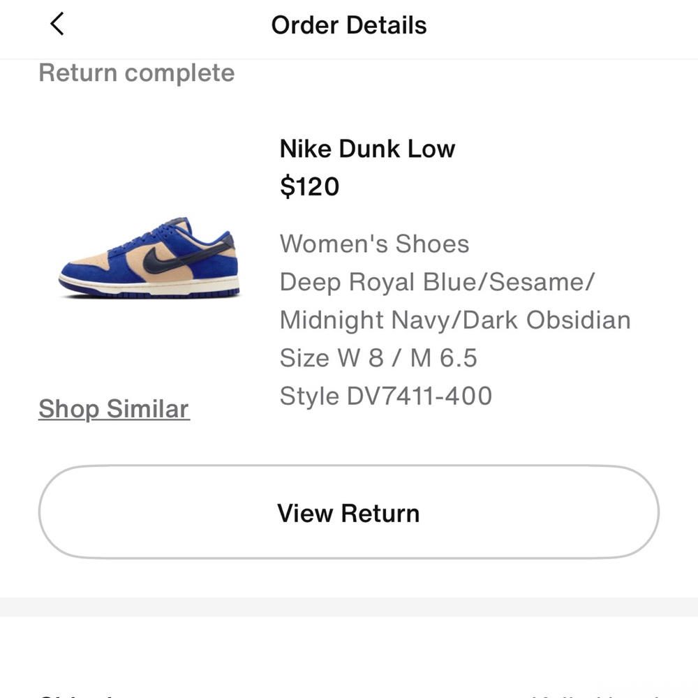 Nike Dunk Sneakers